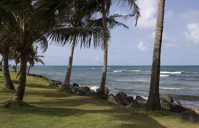 A Puerto Rico beach